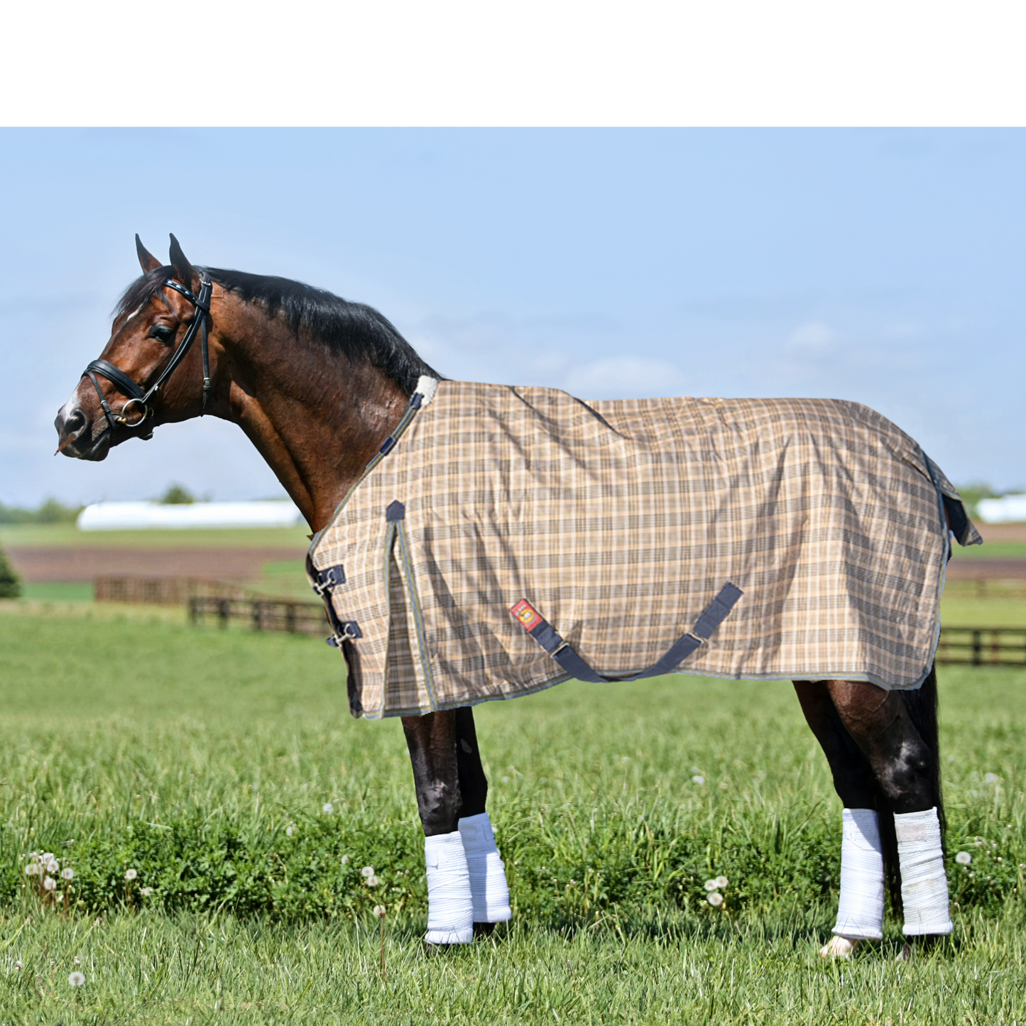 Baker 5/A 200g Winter Turnout Blanket