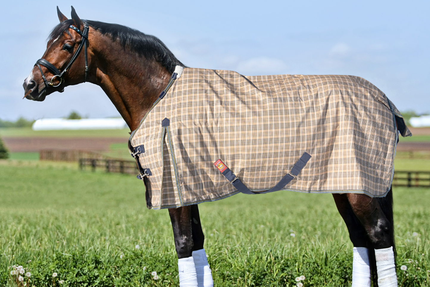 Baker 5/A Turnout, Sheet 0g or Blanket 200g