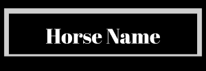 Arrow A Replacement Name Badge for Stall Front Banner