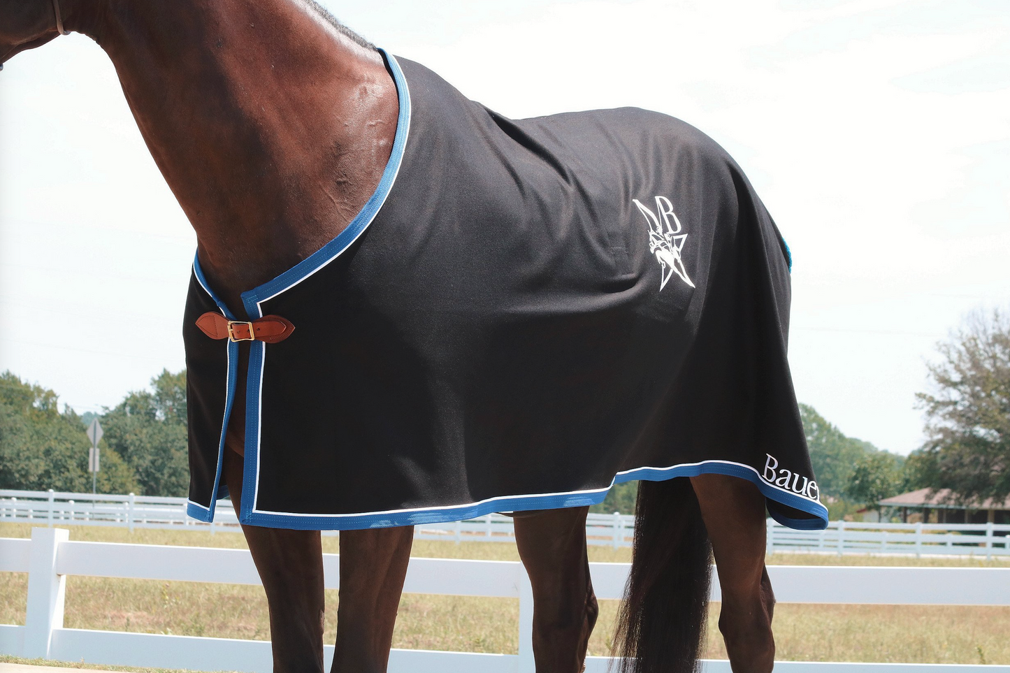 Horse wearing a black wool cooler with blue trim and white piping in an outdoor setting