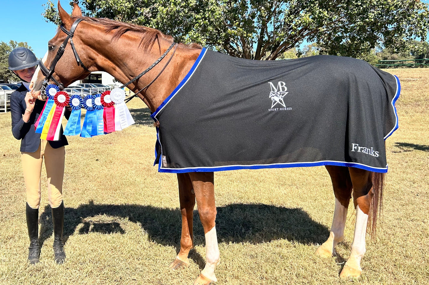 MB Sport Horses Scrim Sheet