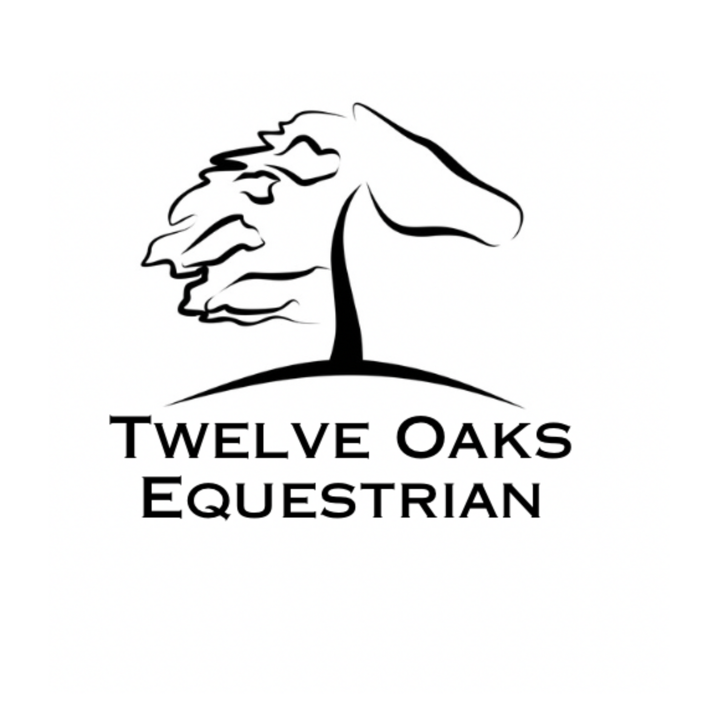 Christina Hall/Twelve Oaks Equestrian saddle pads