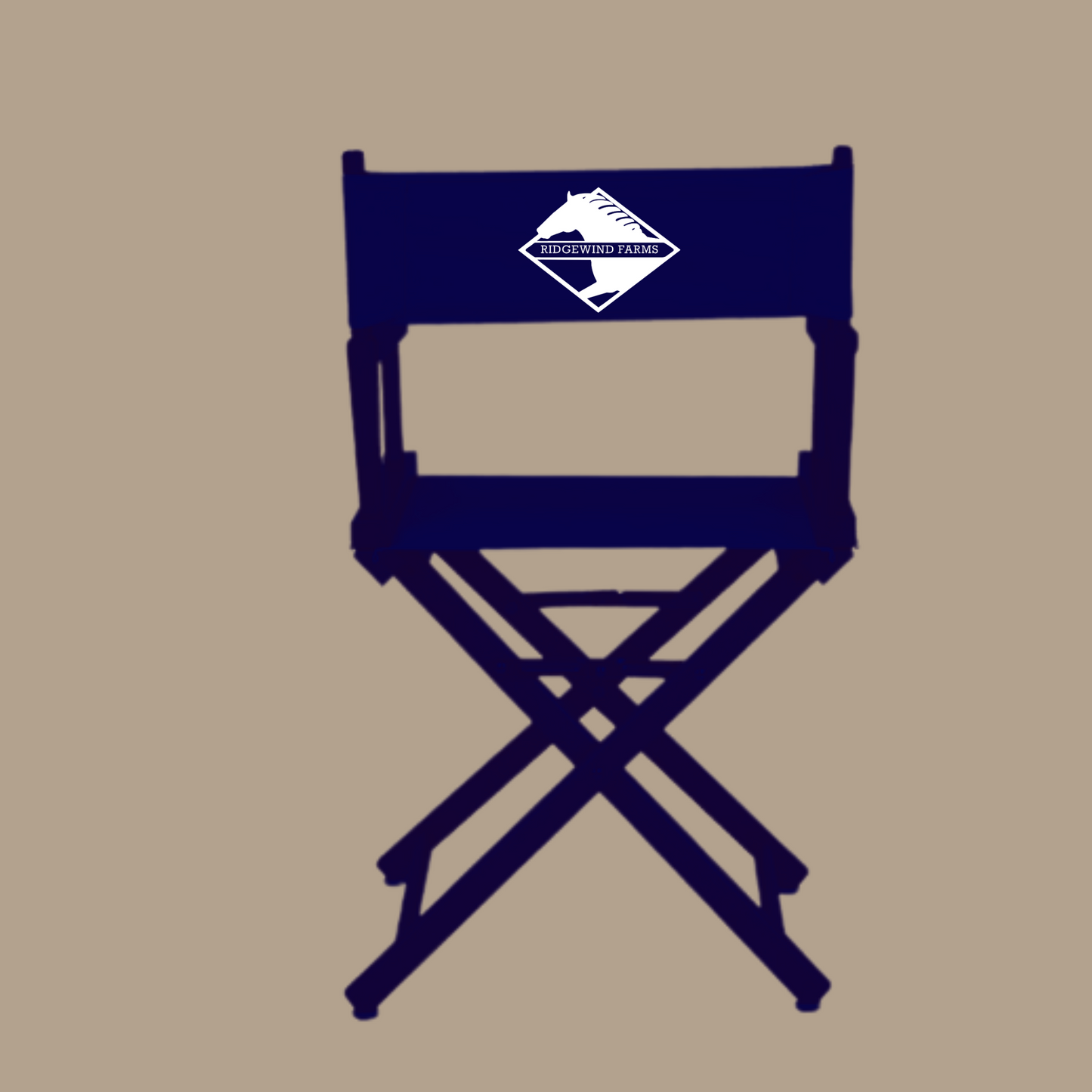 Ridgewind Farms Director Chair