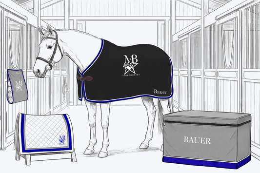 MB Sport Horses New Client Bundle