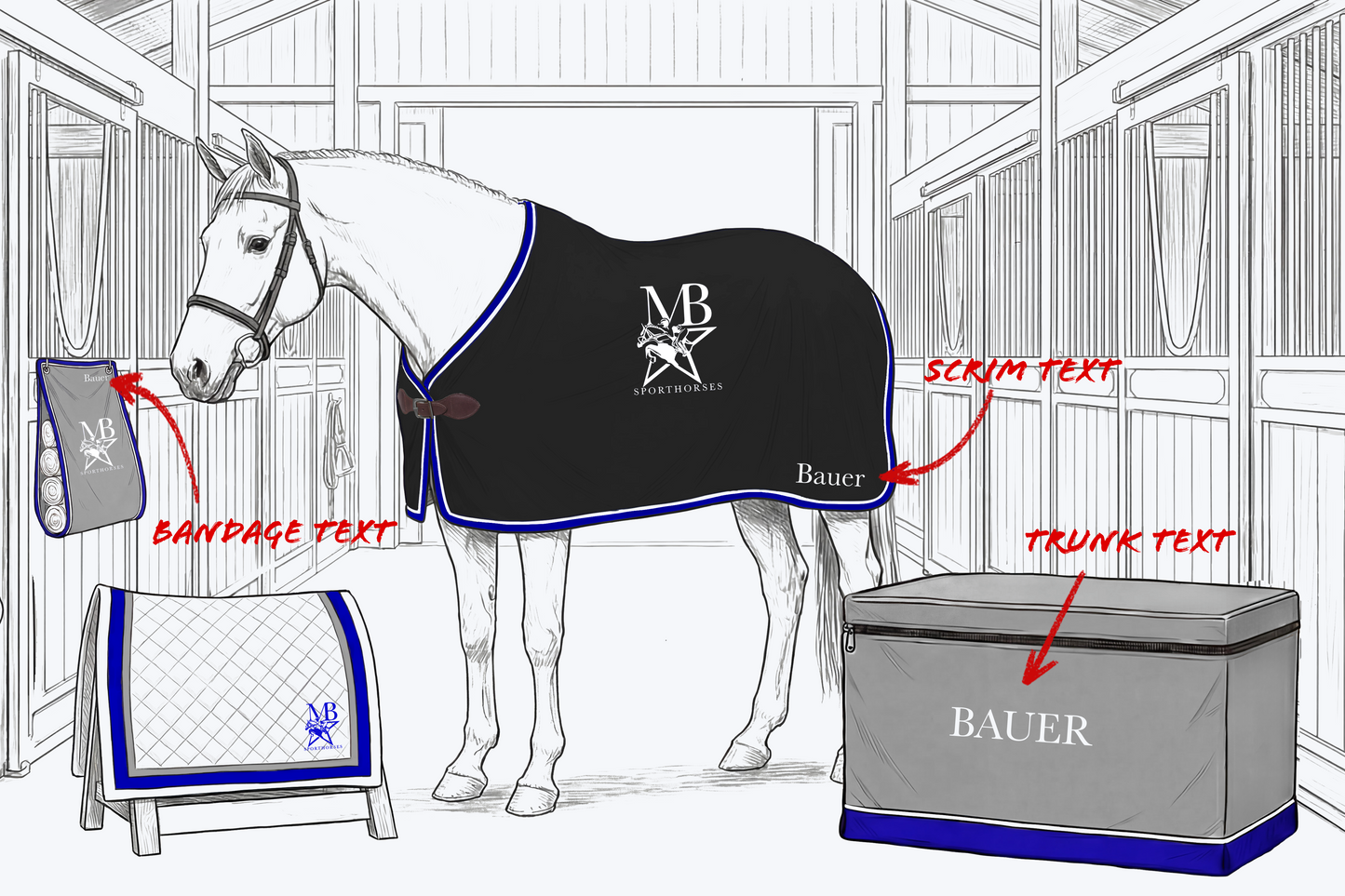 MB Sport Horses New Client Bundle