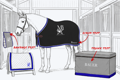 MB Sport Horses New Client Bundle