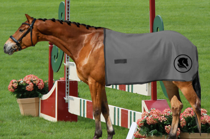 Custom Quarter Sheet in Polarfleece or Wool