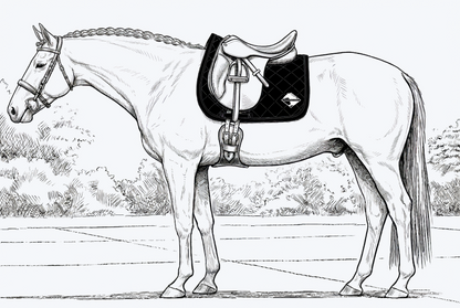 Ridgewind Farms Saddle Pad