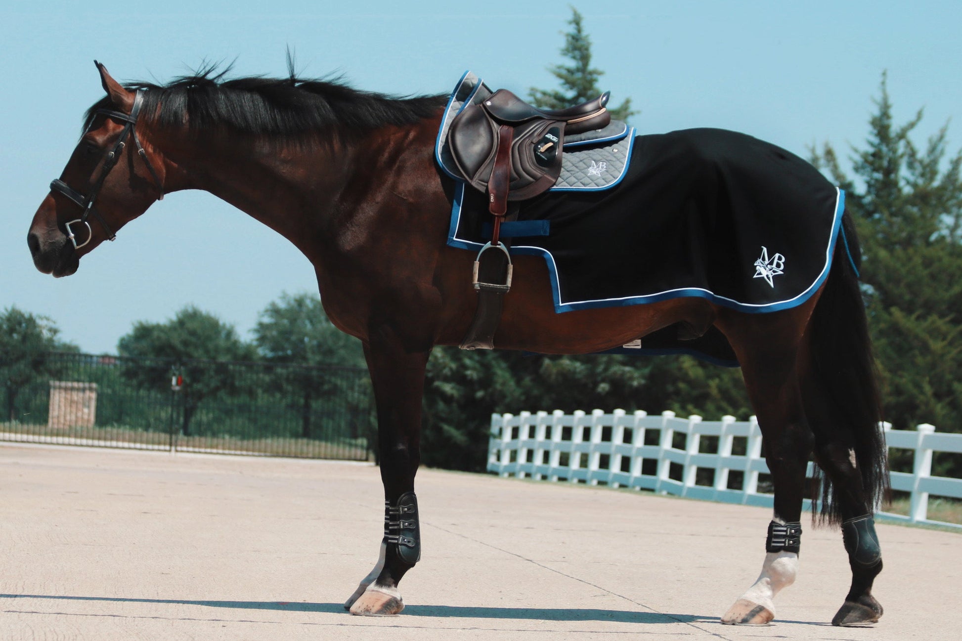 Horse in and outdoor setting wearing a custom black quarter sheet with blue trim and white piping and a MBS logo. 