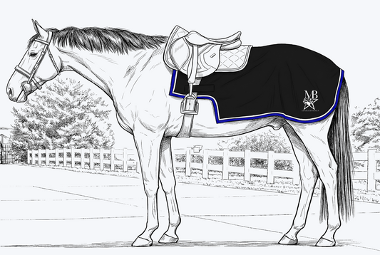 MB Sport Horses Quarter Sheet