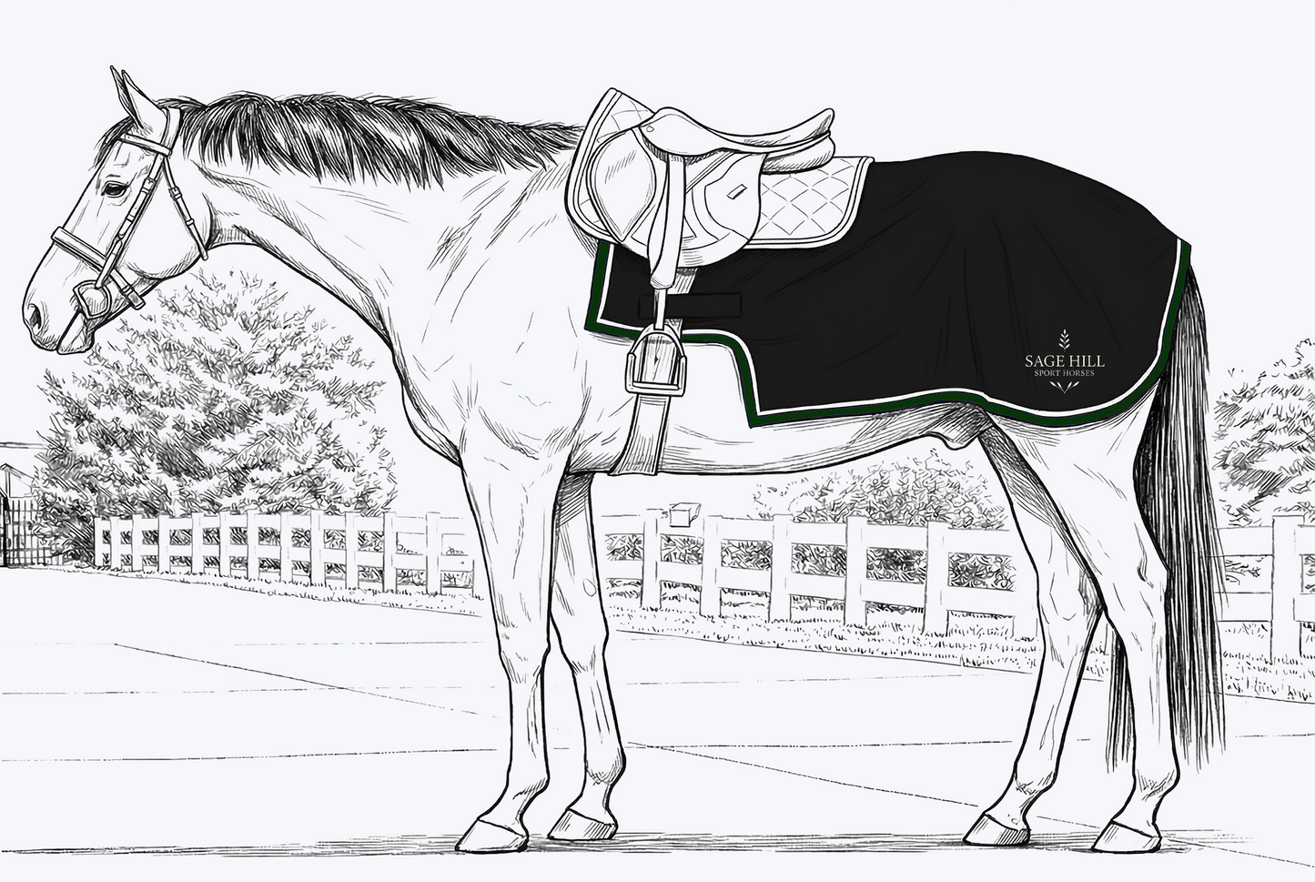 Sage Hill Sport Horses Quarter Sheet