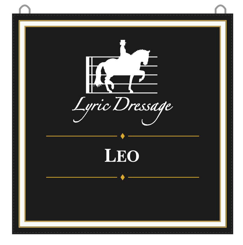 Lyric Dressage Banner - Leo