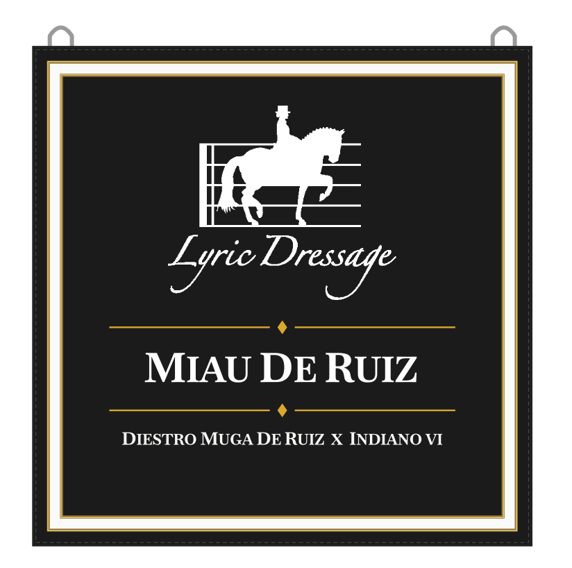 Lyric Dressage Banner - Miau